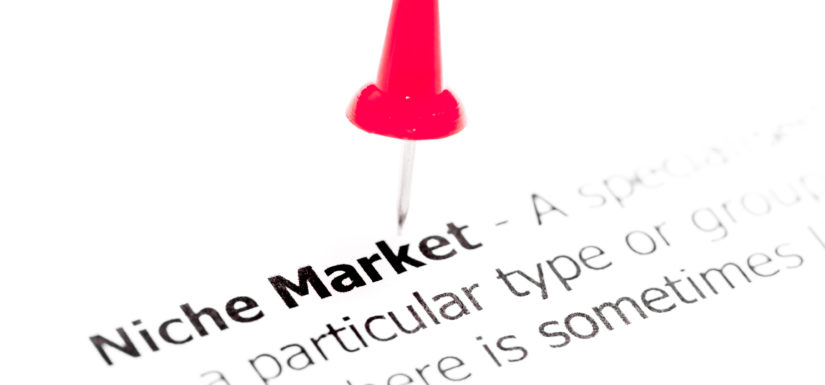 A Guide to Finding Your Niche for Accounting Professionals