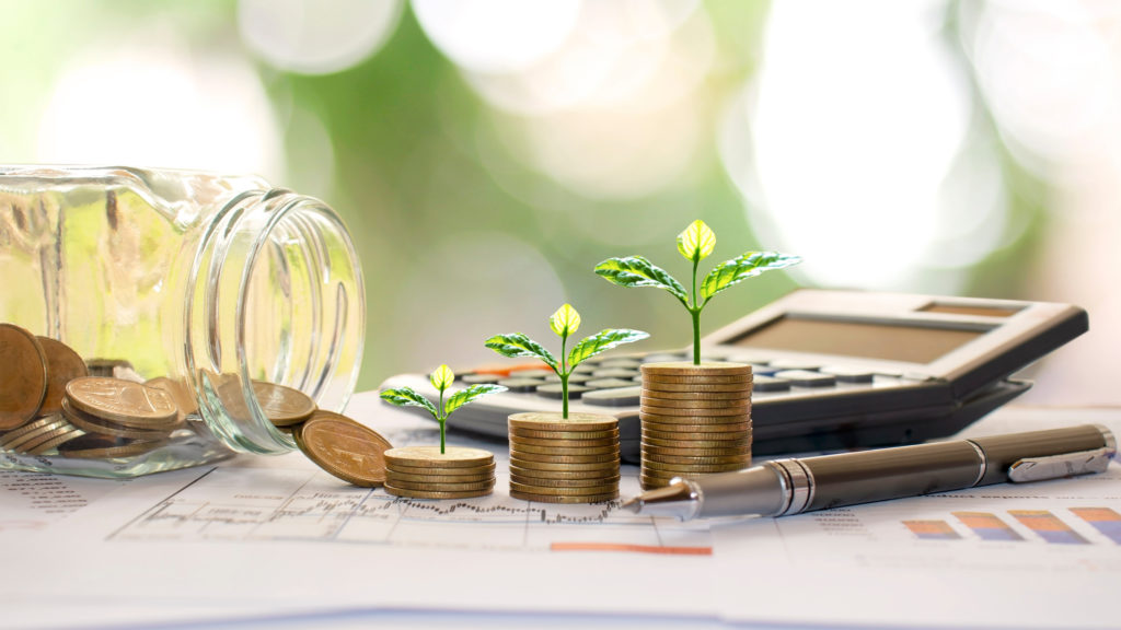 Can an Accountant Be a Sustainability Advisor?