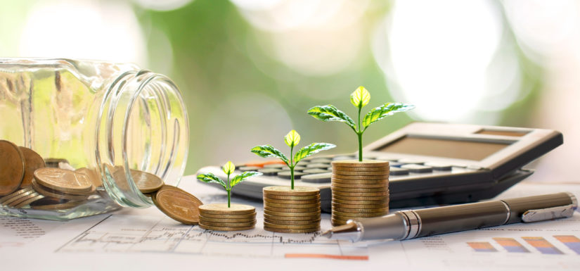 Can an Accountant Be a Sustainability Advisor?